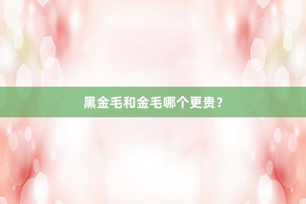 黑金毛和金毛哪个更贵？